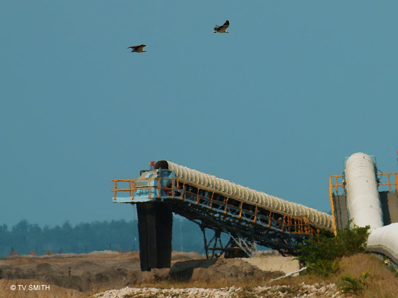 Power From Coal