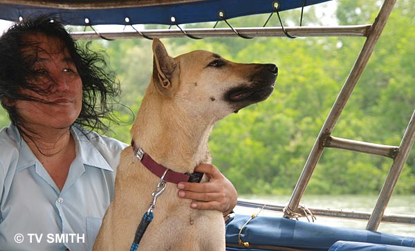 Kuning On The Boat