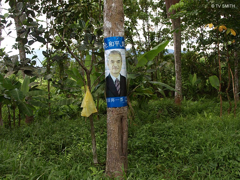 Broga