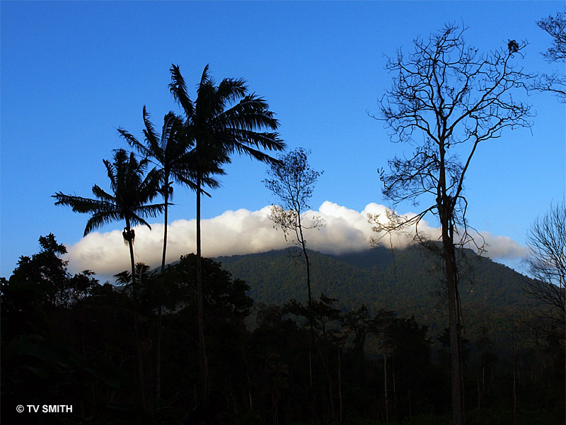 Into The Rainforest - Selai National Park - RFC Johor 2009